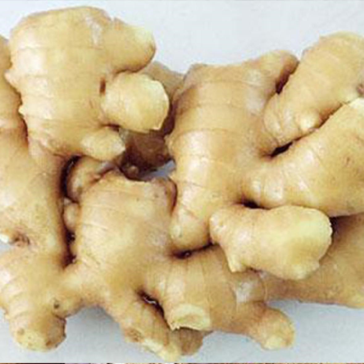 Ginger