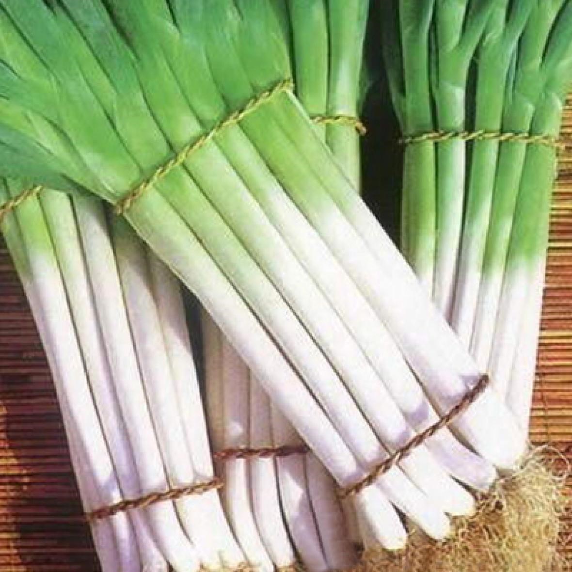 shallot